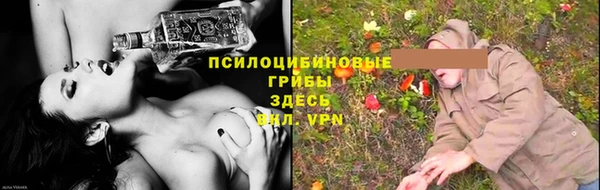 a pvp Володарск