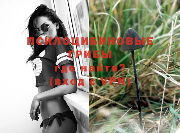 apvp Волоколамск