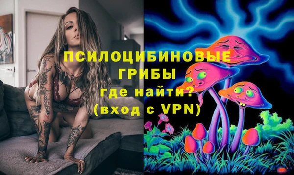 ГАЛЛЮЦИНОГЕННЫЕ ГРИБЫ Верхнеуральск