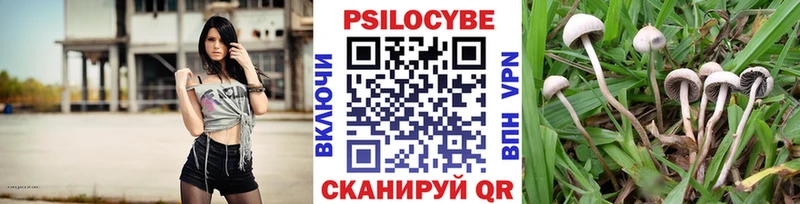 Псилоцибиновые грибы Psilocybe  закладки  MEGA маркетплейс  Володарск 