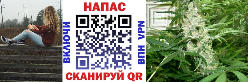 МАРИХУАНА планчик Володарск
